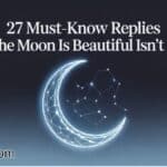27 Must-Know Replies to 'The Moon Is Beautiful Isn't It'