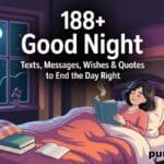 188+ Good Night Texts, Messages, Wishes & Quotes to End the Day Right