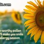 175+ Buzz-Worthy Pollen Puns That’ll Make You Smile Through Allergy Season