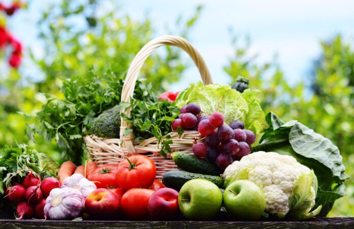 Variety of fresh organic vegetables in the garden